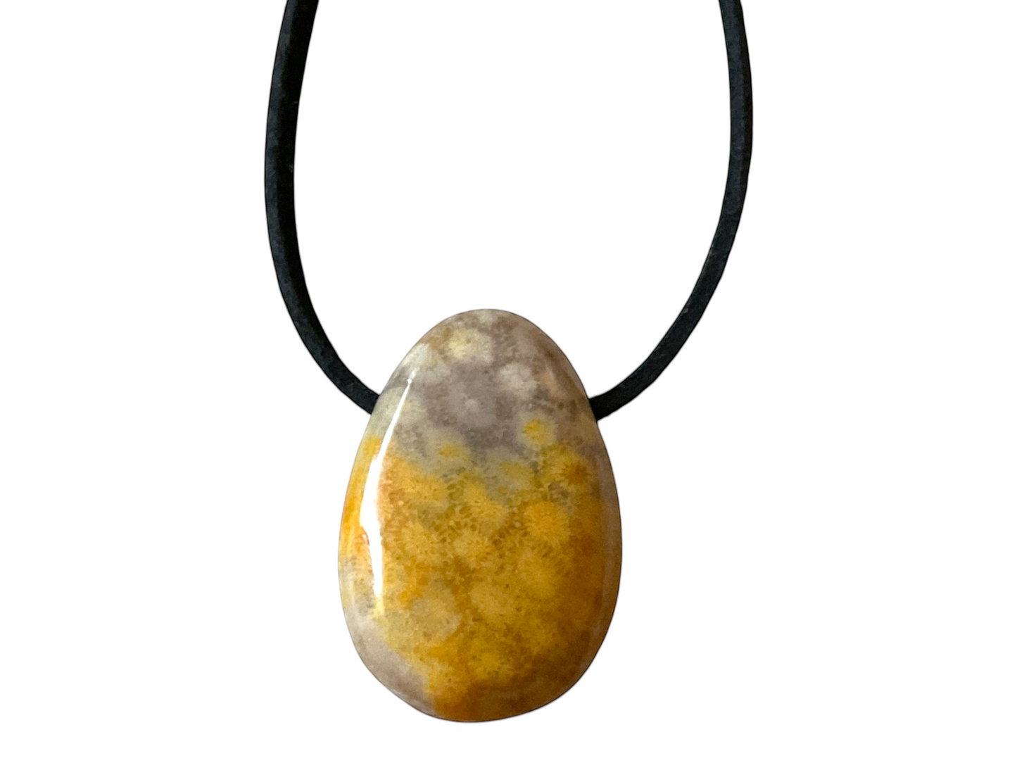 Fossile Koralle Anhänger Tropfen (Petoskey Stone) – Naturstein Kette mit 80 cm Band & Geschenkbox – Echter Fossilien Schmuck in AAA-Qualität aus USA – ca. 30x20 mm