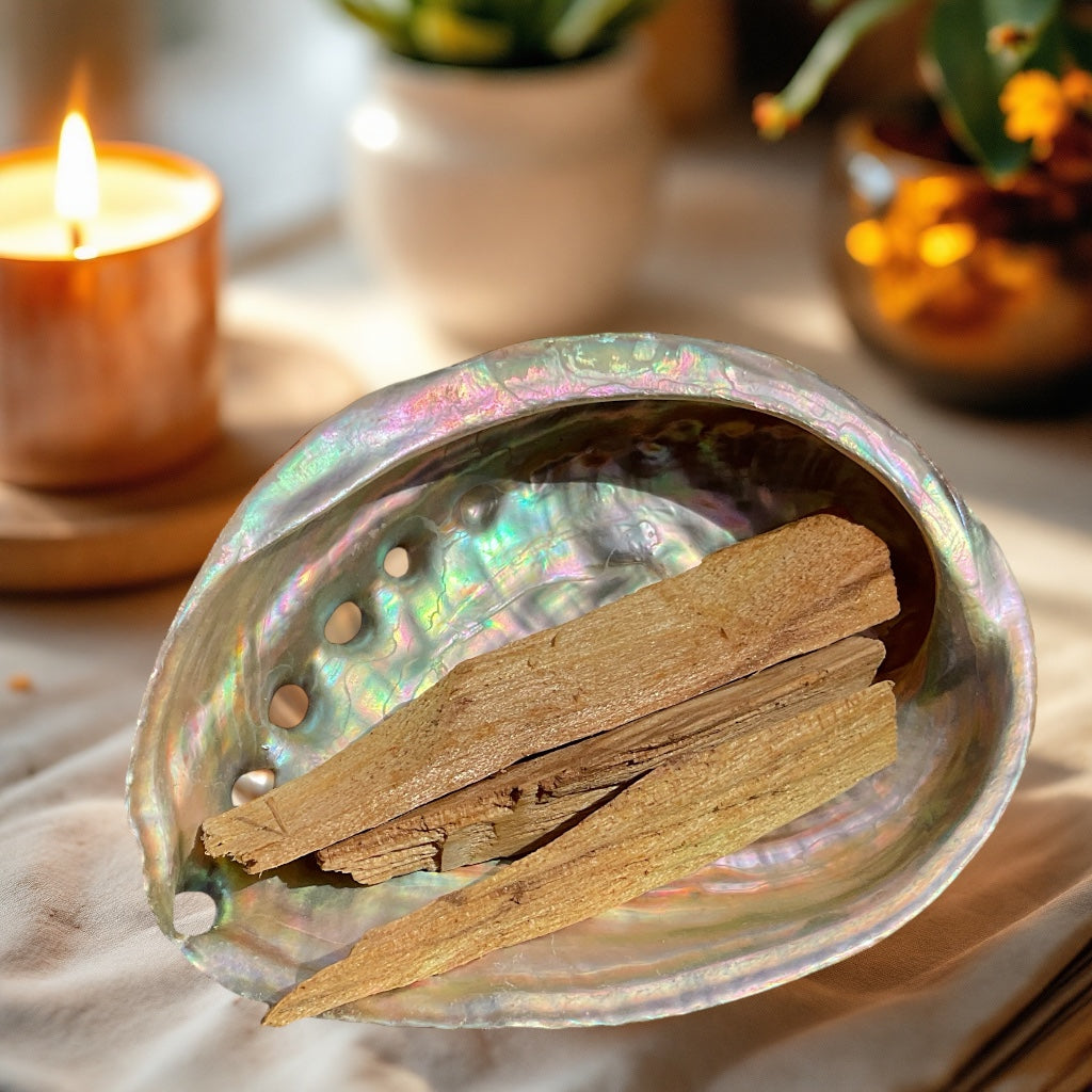Abalone Paua Muschel I 100x70x15 mm I Räucherset mit 20 gr. Palo Santo Holz I Perlmutt Meeresmuschel I naturbelassen I Mexiko