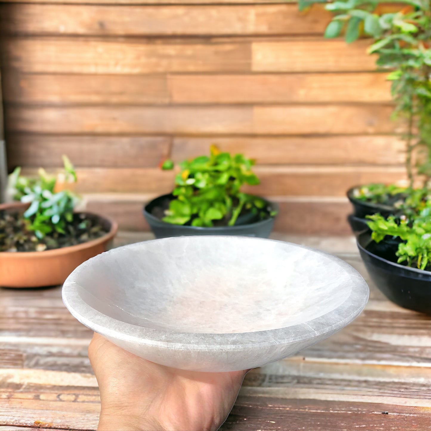 Steinfixx - Grosse und schwere Selenit Ladeschale Bowl Ø 20 cm- ca. 1000 Gramm - in dieser Größe selten erhältlich