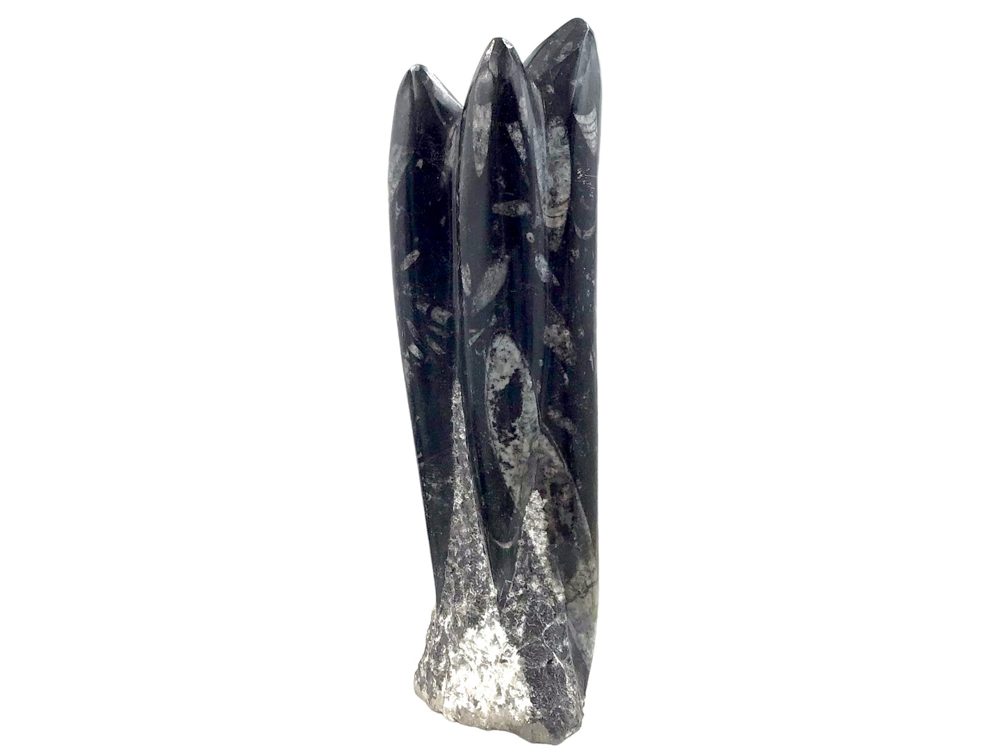 Orthoceras Skulptur mit echten Fossilien aus der Kreidezeit I ca. 23x7x5cm I ca. 1200 gr. I Marokko