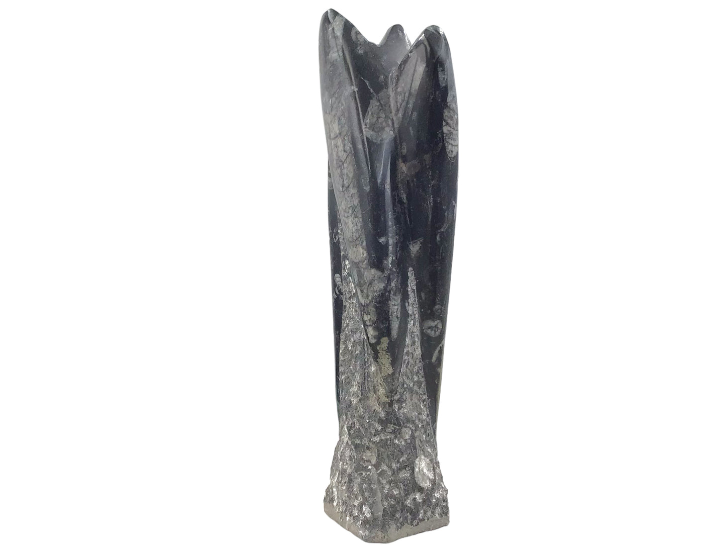 Orthoceras Skulptur mit echten Fossilien aus der Kreidezeit I ca. 23x7x5cm I ca. 1200 gr. I Marokko