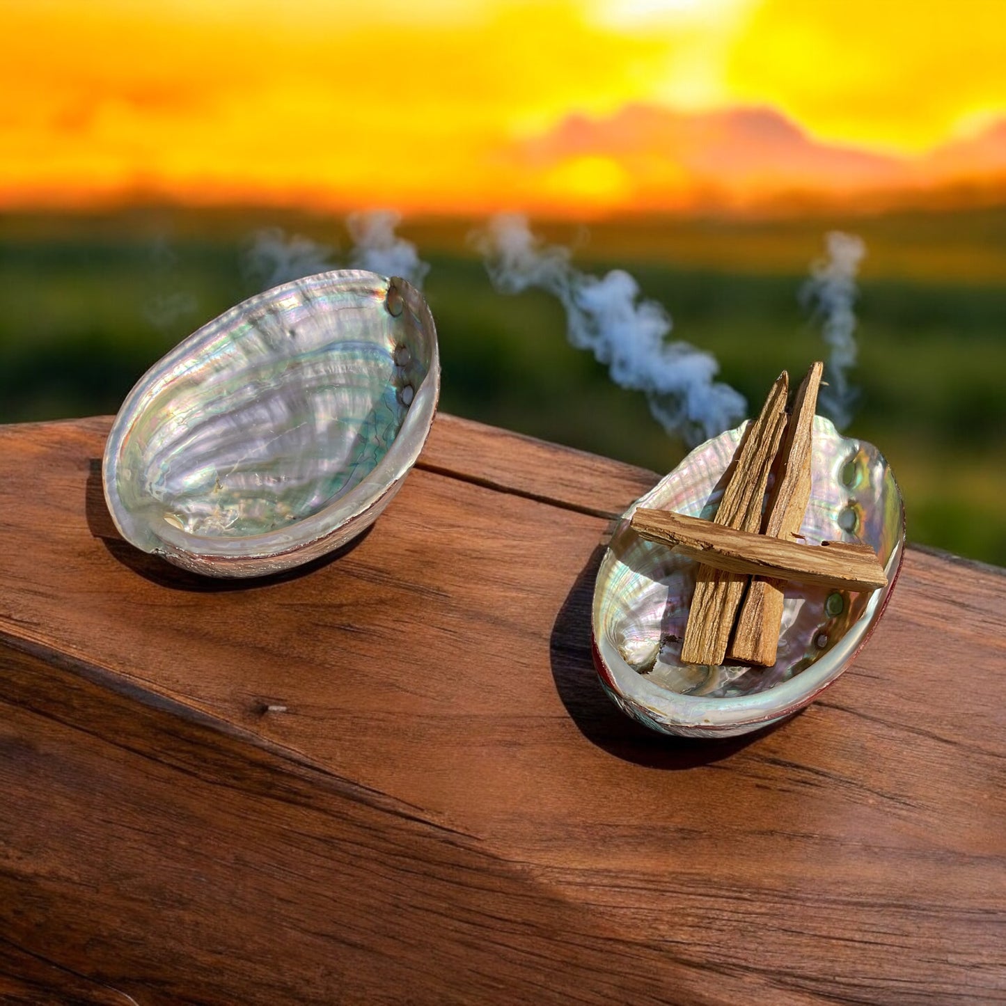 Abalone Paua Muschel I 100x70x15 mm I Räucherset mit 20 gr. Palo Santo Holz I Perlmutt Meeresmuschel I naturbelassen I Mexiko