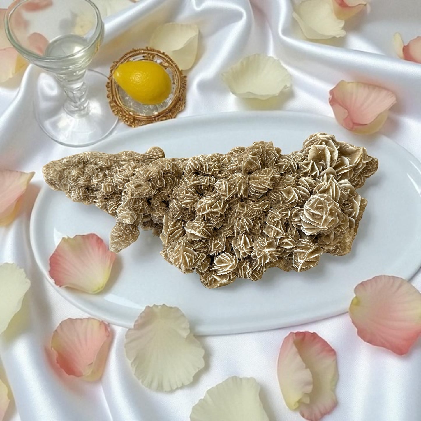 XXL Wüstenrose - Sandrose | Unikat-Masterpiece 1640 | 3050 Gramm | 32x17x12 cm I Top Qualität I Mexiko