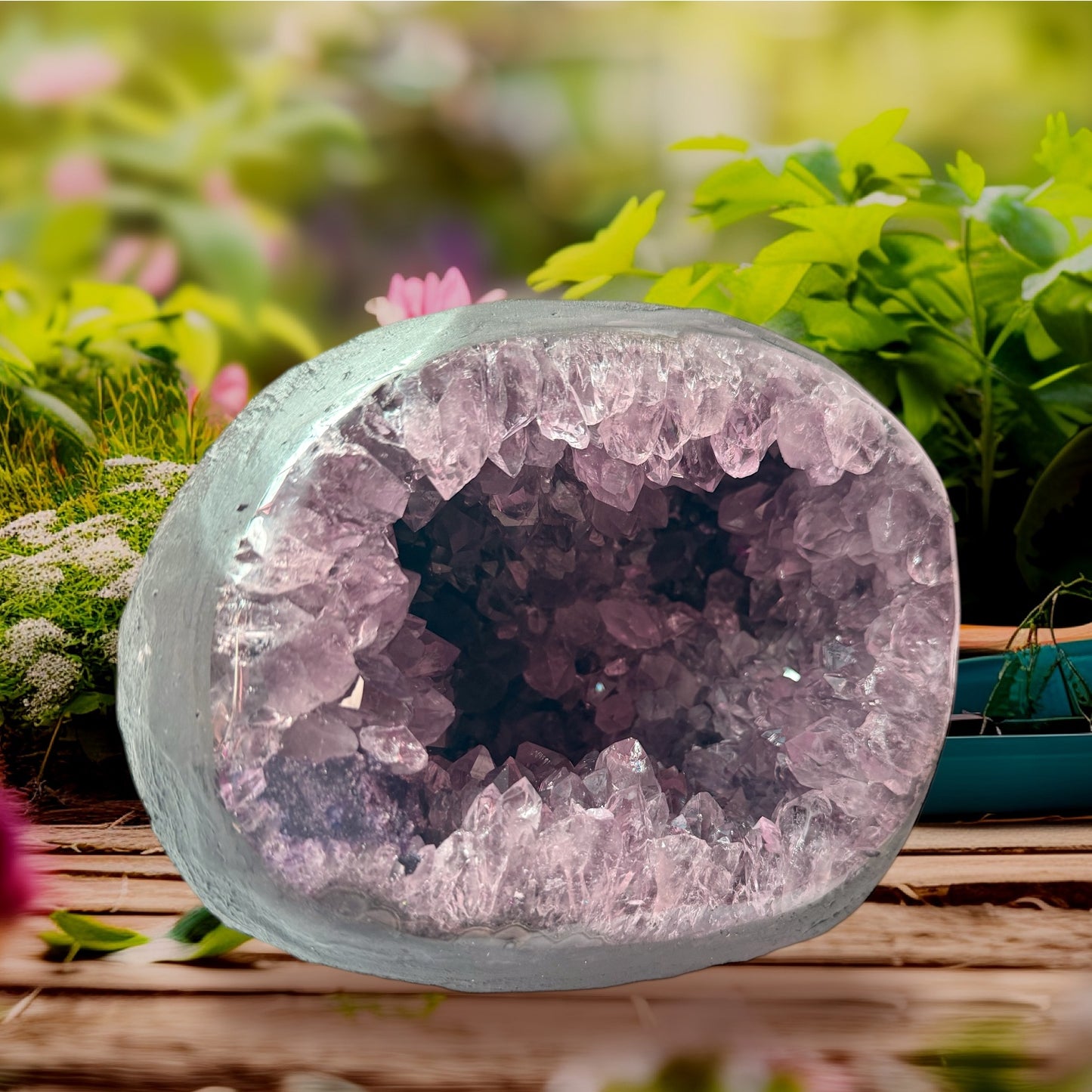 Amethyst Druse mit phantastischen Kristallen I 5,35 KG I 20x16x18cm I Blickfang I Unikat-Masterpiece 1480 I Brasilien