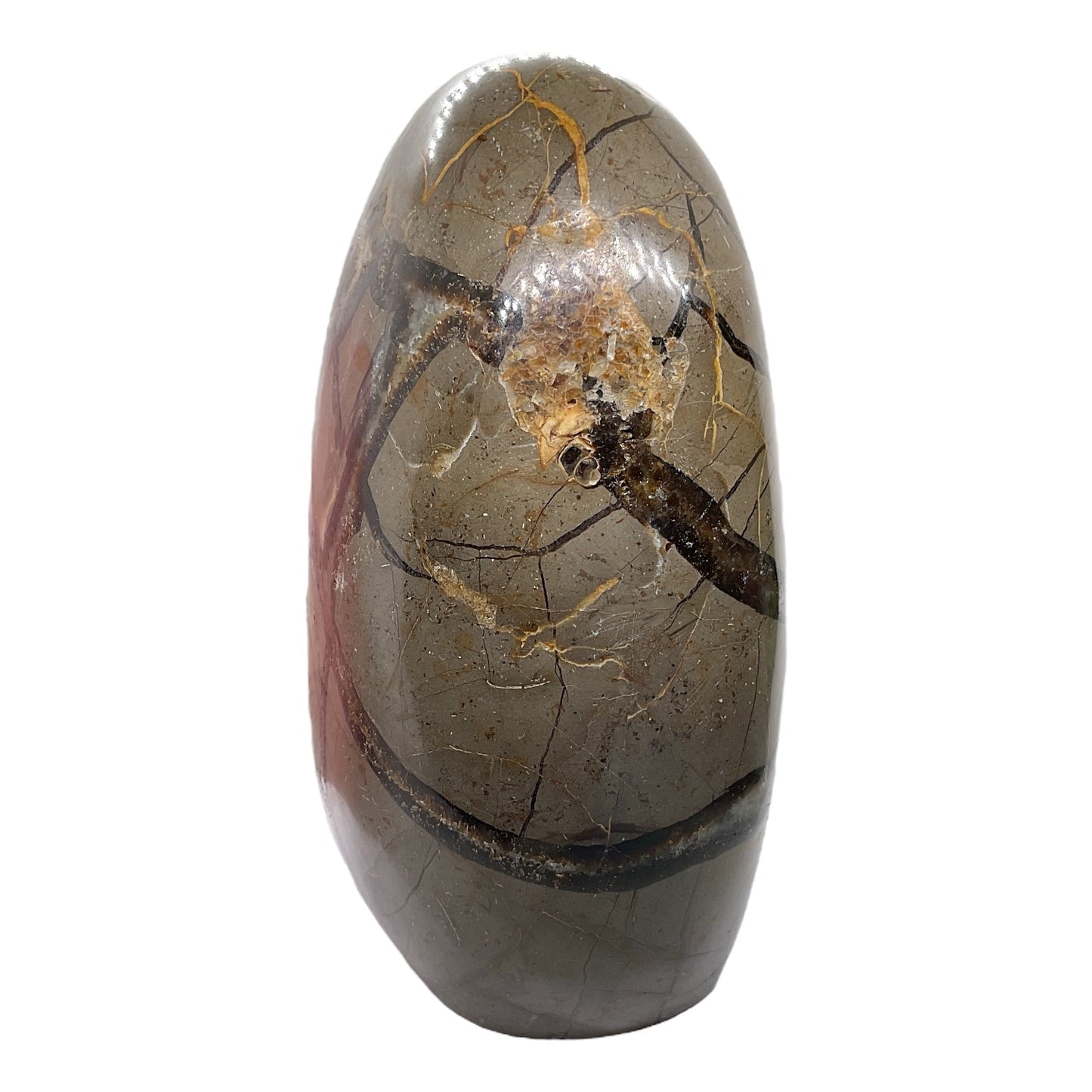 Septarien Drachen Freeform I 1330 Gramm I 13x9x6cm I Dragon I Mystisch I Unikat-Masterpiece 1653 I Madagaskar