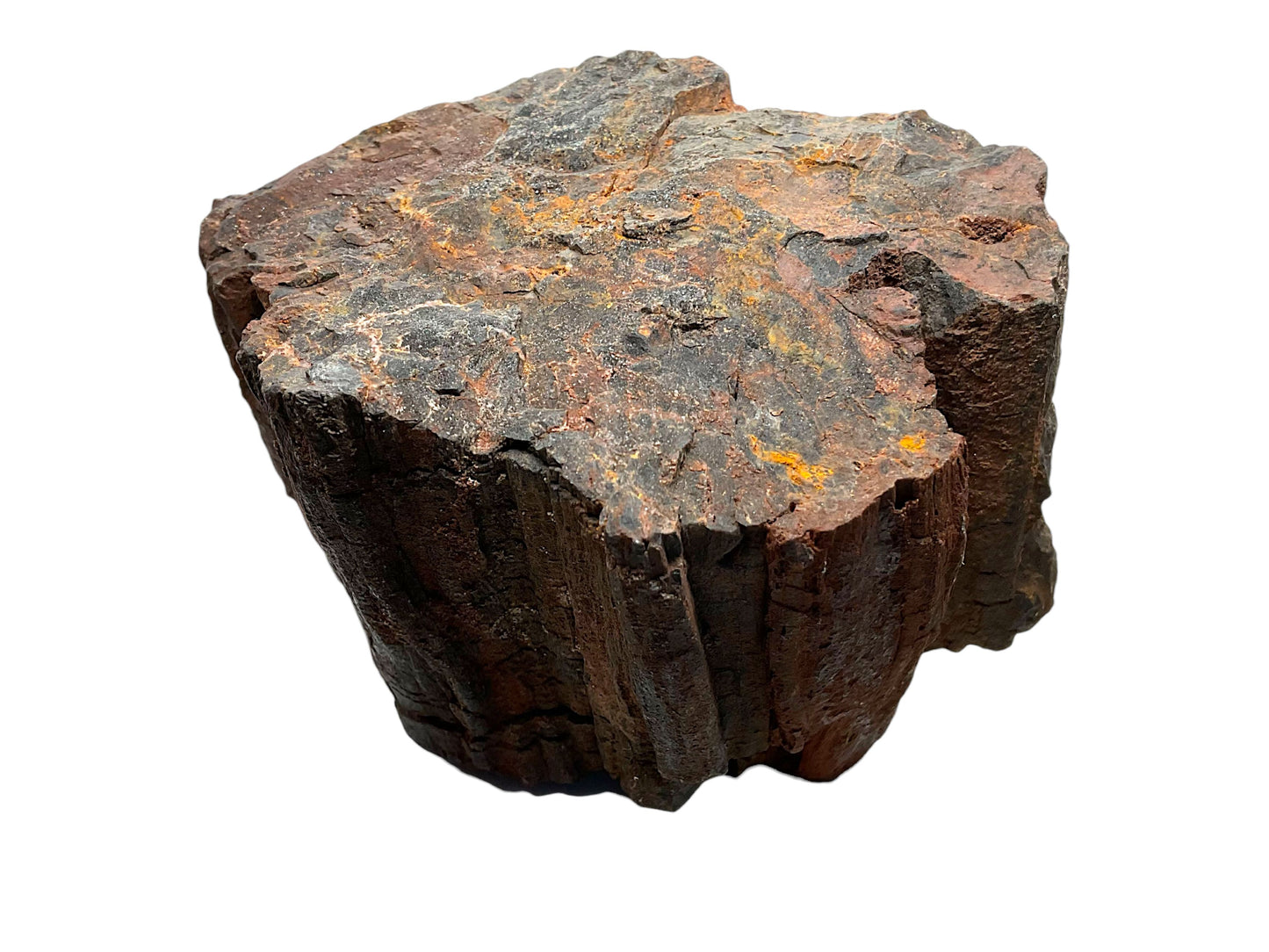 Versteinertes Holz (verkieseltes Holz) – Gimsbach, Rheinland-Pfalz – 1,8 kg – 13 × 9 × 10 cm – Sammlerstück – Unikat-Masterpiece Nr. 1709