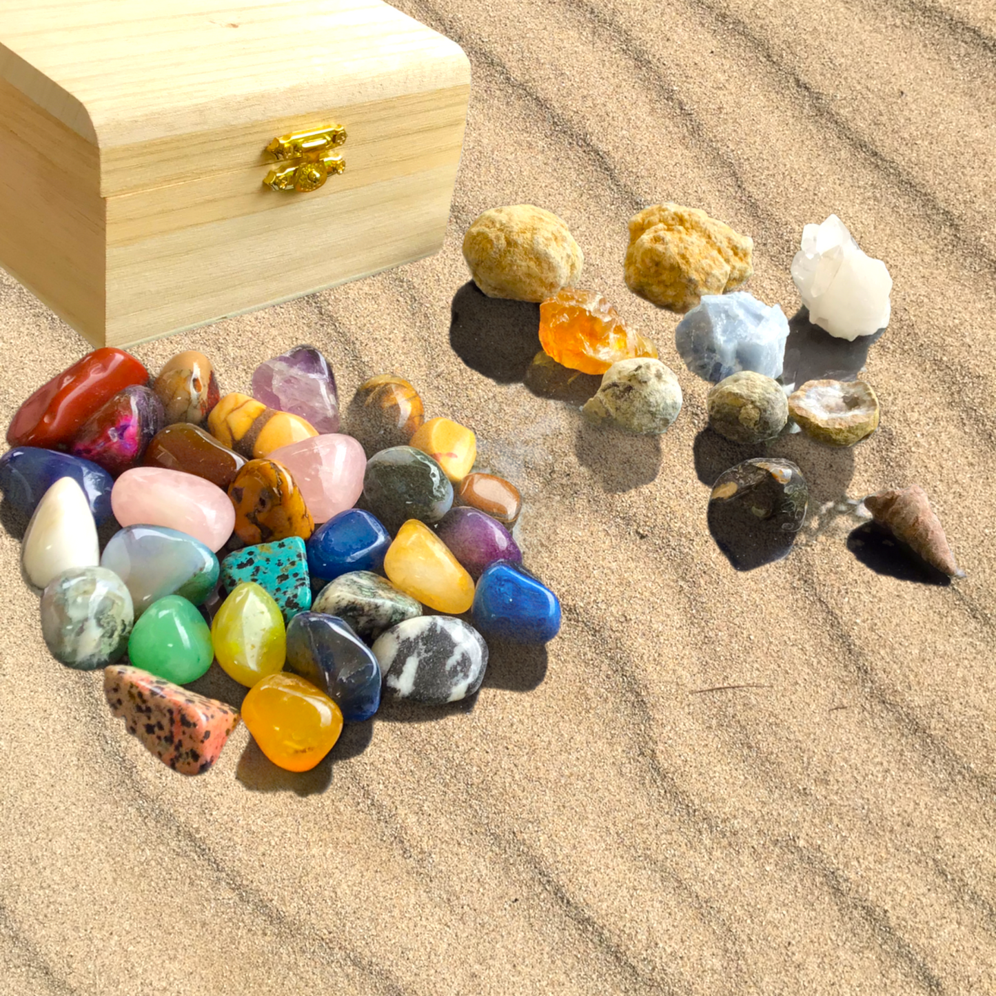 Schatzkiste mit 2 Geoden zum aufbrechen, Fossilien, Bergkristall, Edelsteine, Trommelsteine, Lupe - Mindestens 40 Teile