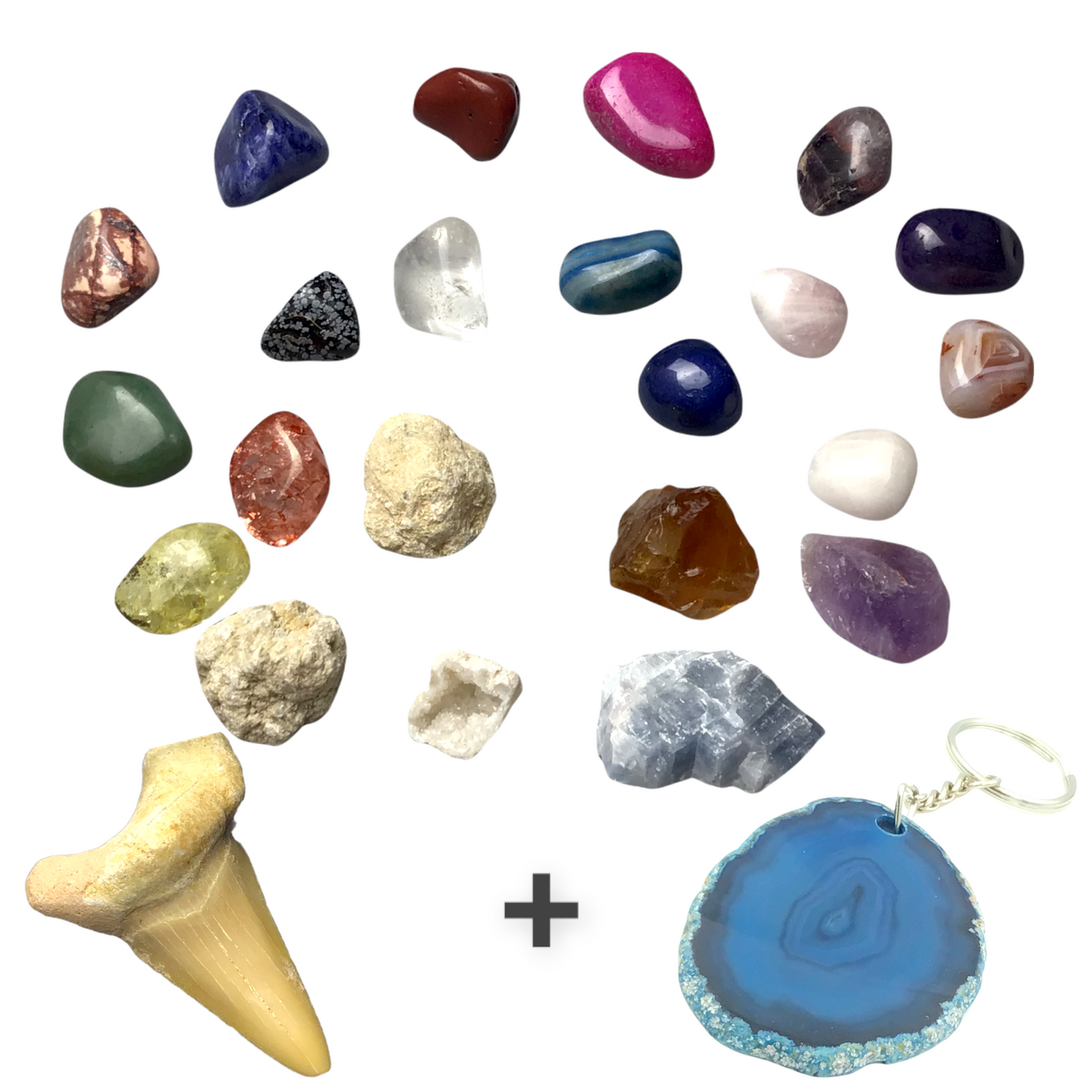 Exclusive Adventskalender Mineralienfüllung mit Geoden zum aufbrechen - 24-teilig- Trommelsteine, Geoden, Rohsteine, Haifischzahn, Achatscheibe