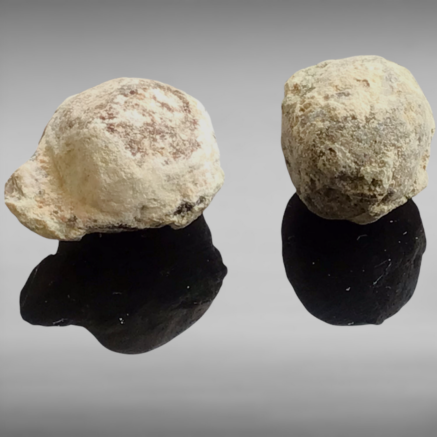 Schatzkiste mit 2 Geoden zum aufbrechen, Fossilien, Bergkristall, Edelsteine, Trommelsteine, Lupe - Mindestens 40 Teile