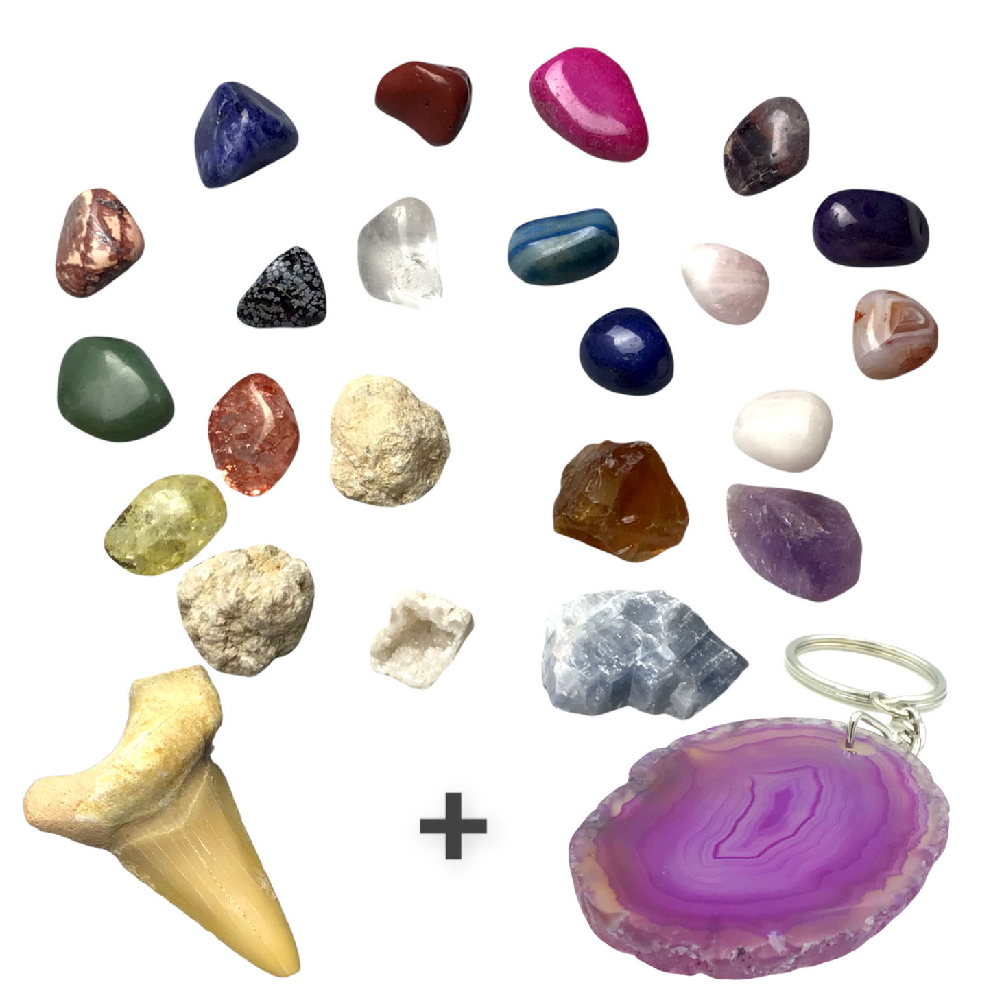 Exclusive Adventskalender Mineralienfüllung mit Geoden zum aufbrechen - 24-teilig- Trommelsteine, Geoden, Rohsteine, Haifischzahn, Achatscheibe
