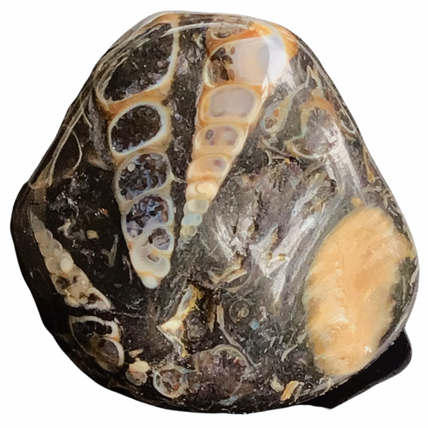 Schatzkiste mit 2 Geoden zum aufbrechen, Fossilien, Bergkristall, Edelsteine, Trommelsteine, Lupe - Mindestens 40 Teile