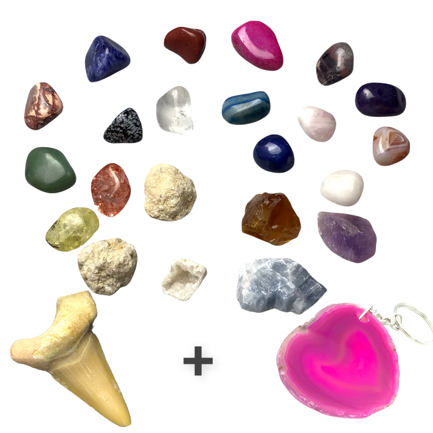 Exclusive Adventskalender Mineralienfüllung mit Geoden zum aufbrechen - 24-teilig- Trommelsteine, Geoden, Rohsteine, Haifischzahn, Achatscheibe