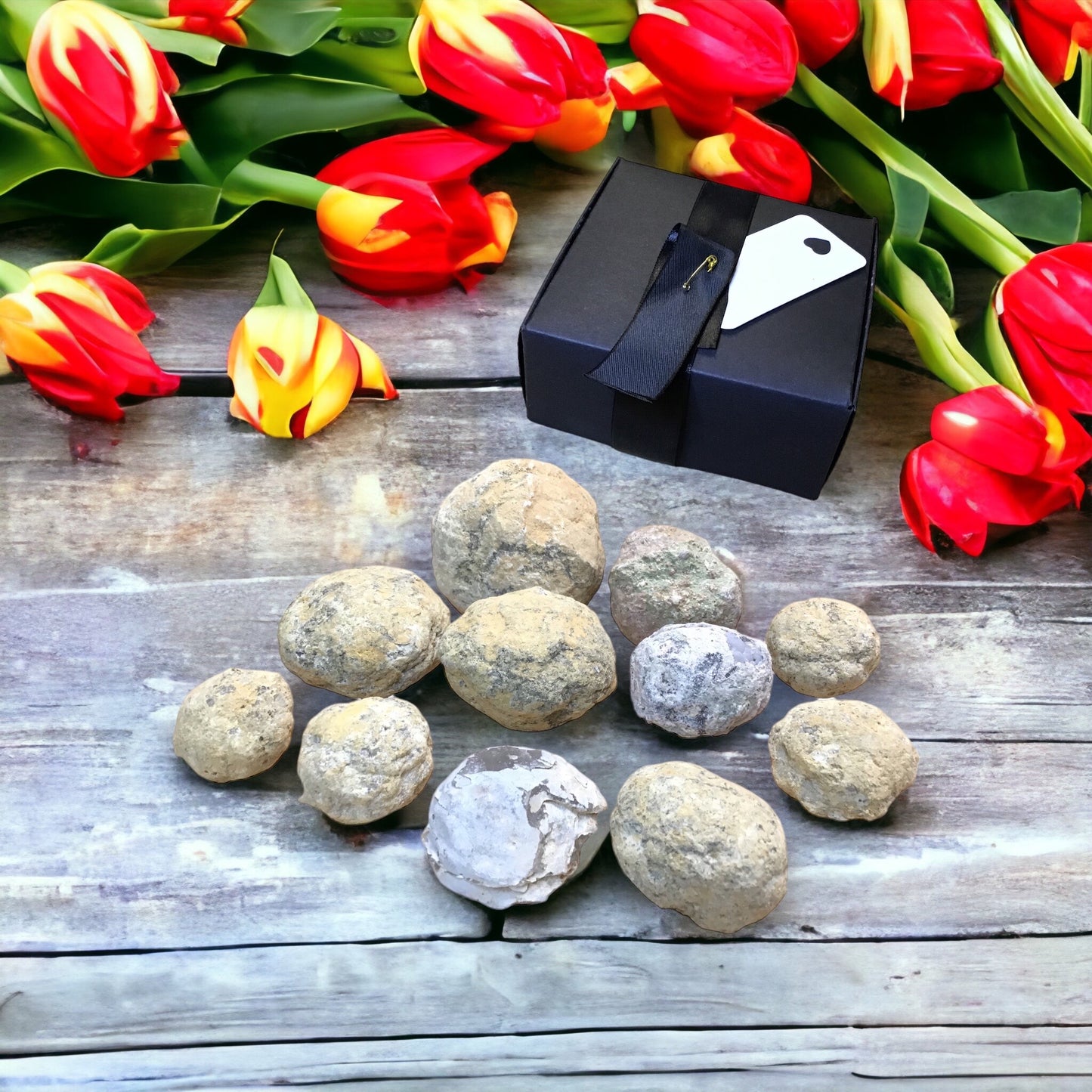 Steinfixx® - Exclusive 13 teilige Geodensammlung aus aller Welt zum aufbrechen im Geschenkkarton mit Anleitung