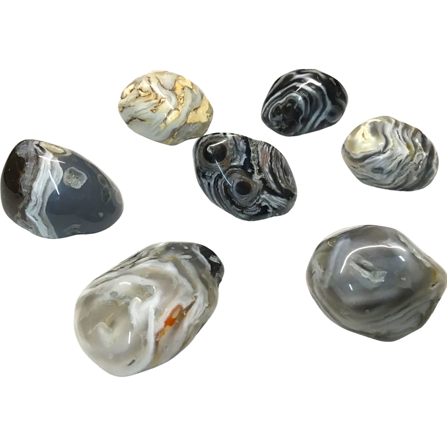 Wasser-Achat Geode Occo | Nussgeode komplett | handpoliert | mit wunderschöner Maserung | 2-4 cm