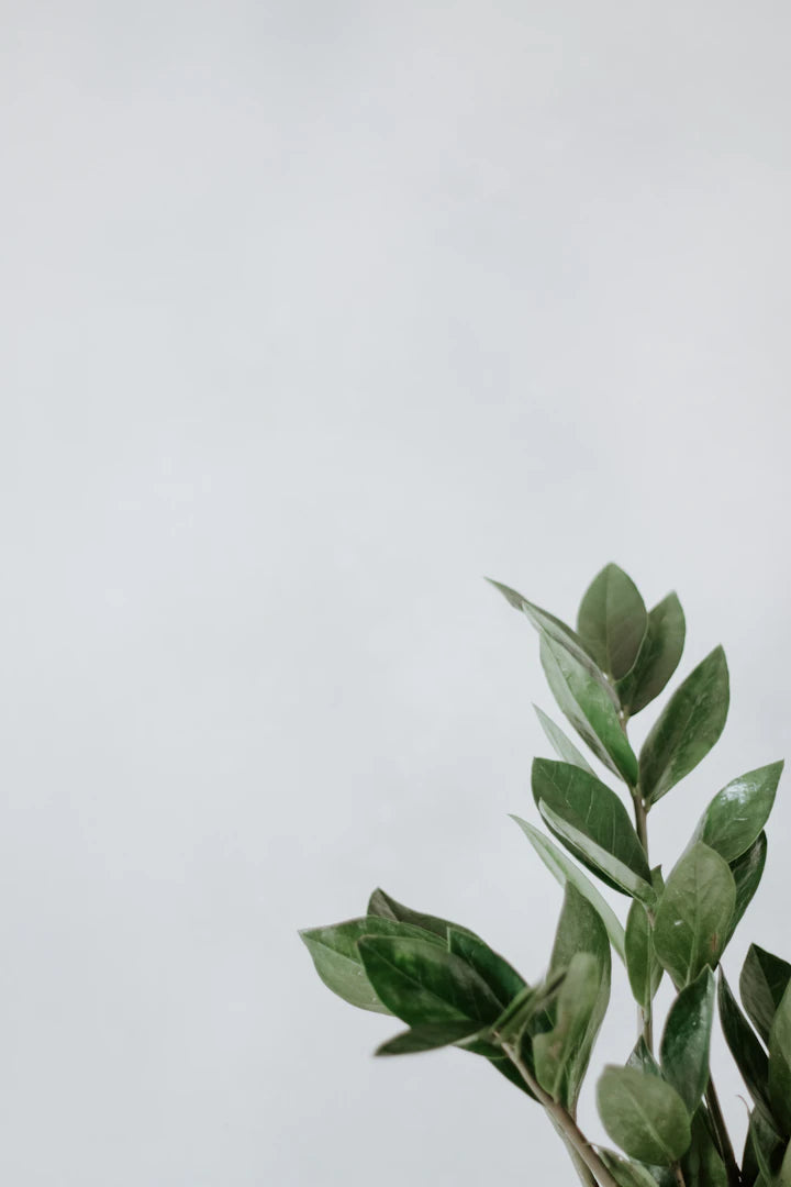 Smaragd und seine Anwendung in der Aromatherapie