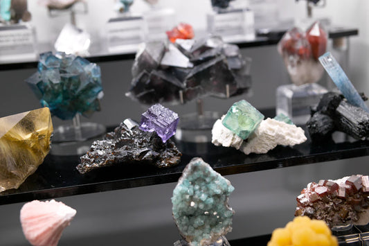 Fossilien und Mineralien Ein faszinierendes Duo