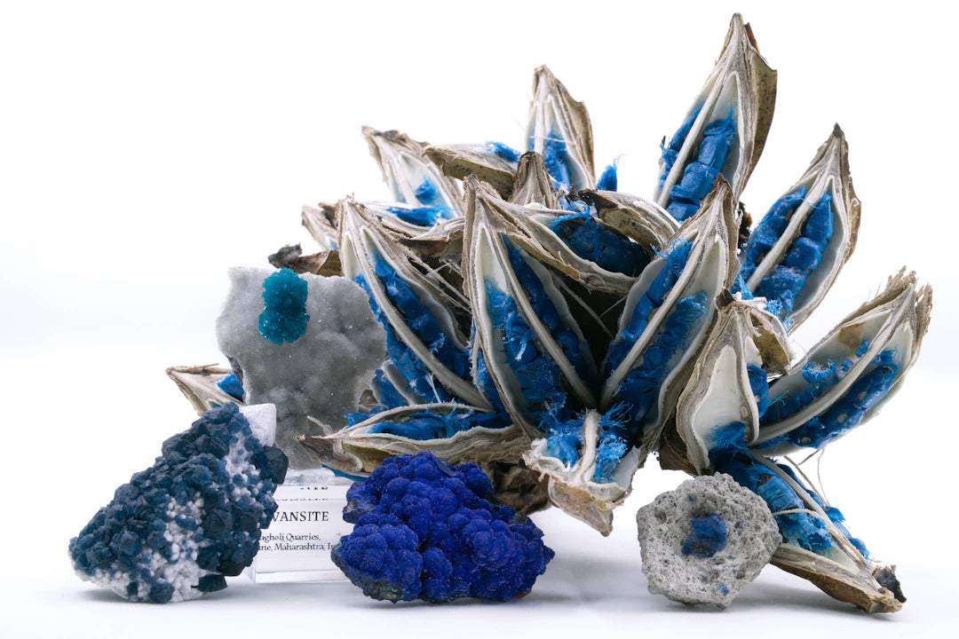 Mineralien als Sammlerstücke Tipps für Sammler