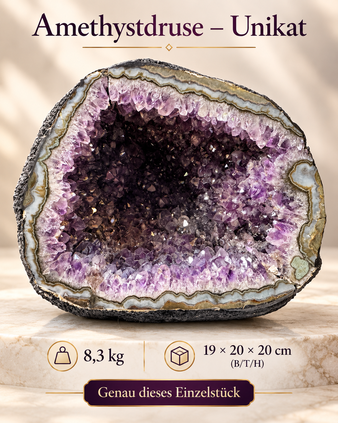 XXL Amethyst Druse aus Brasilien – 8,3 kg – 19 × 20 × 20 cm – AAA-Qualität – Achat-Chalcedonrand – Sammlerstück – Unikat 1680