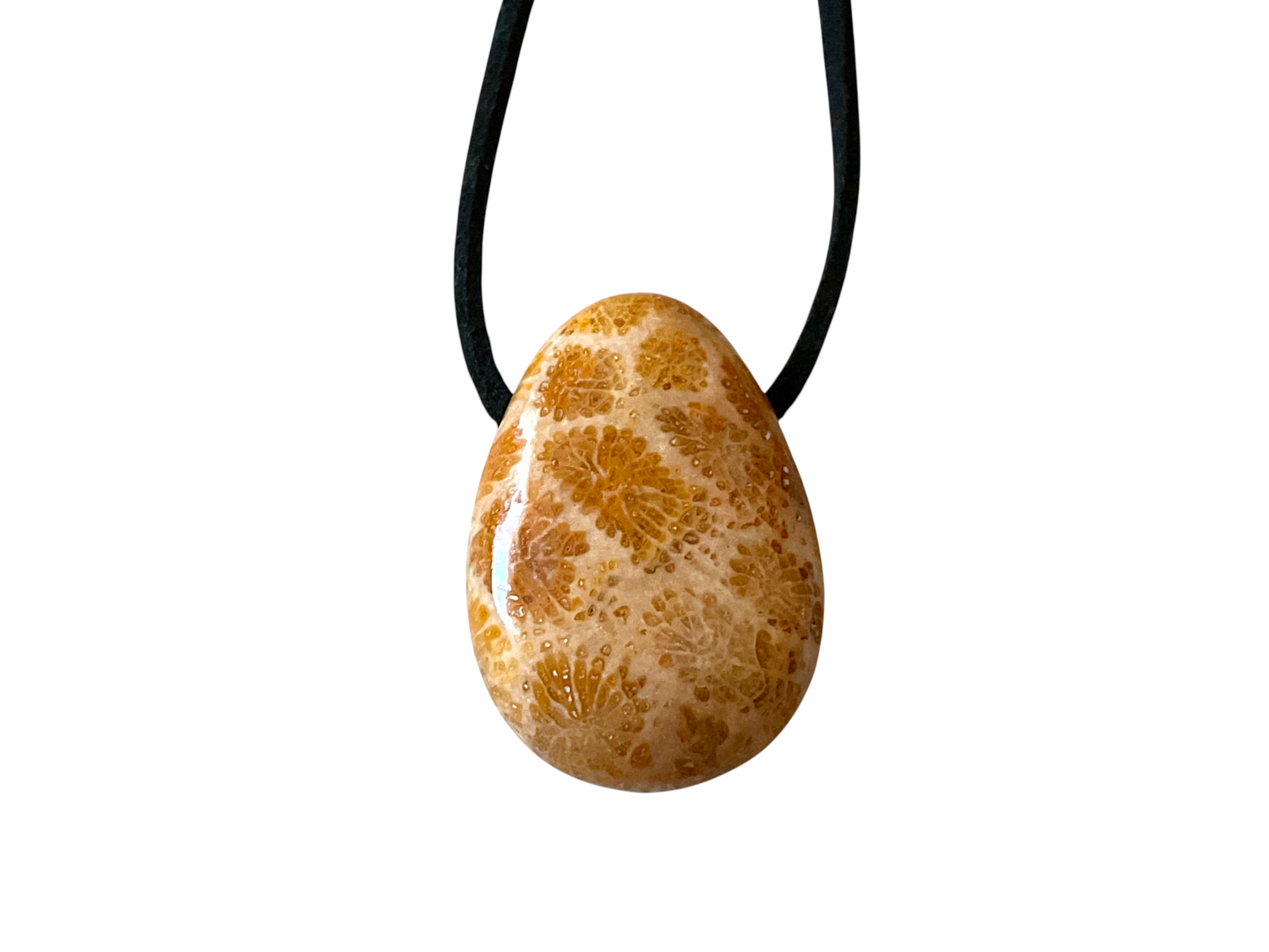 Fossile Koralle Anhänger Tropfen (Petoskey Stone) – Naturstein Kette mit 80 cm Band & Geschenkbox – Echter Fossilien Schmuck in AAA-Qualität aus USA – ca. 30x20 mm