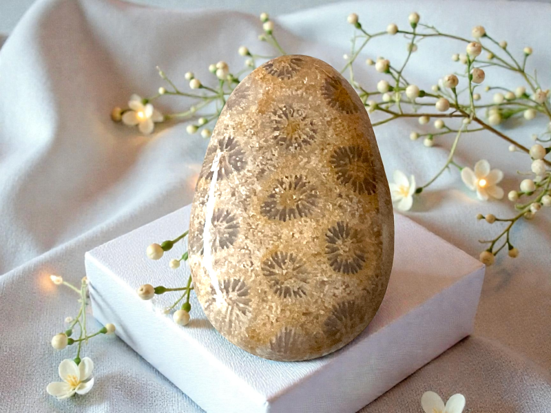 Fossile Koralle Anhänger Tropfen (Petoskey Stone) – Naturstein Kette mit 80 cm Band & Geschenkbox – Echter Fossilien Schmuck in AAA-Qualität aus USA – ca. 30x20 mm