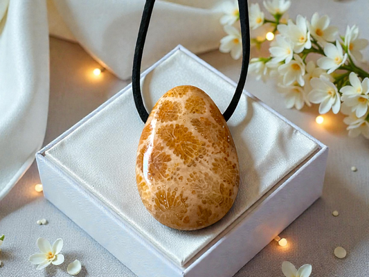 Fossile Koralle Anhänger (Petoskey Stone) – Naturstein Kette mit 80 cm Band & Geschenkbox – Echter Fossilien Schmuck in AAA-Qualität aus USA – ca. 30x20 mm
