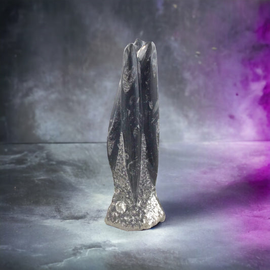 Orthoceras Fossilien Skulptur aus Marokko – 23 cm – 1,2 kg – Echter Fossilienmarmor mit Urzeit-Fossilien – Naturstein Deko-Turm & Sammlerstück