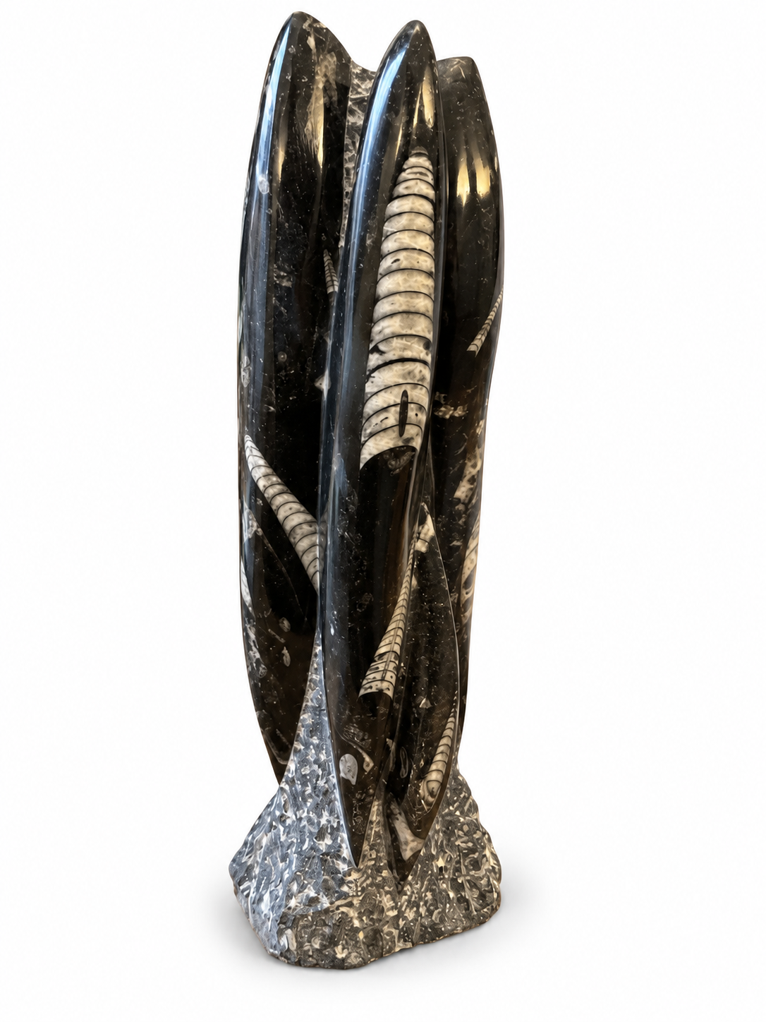 Orthoceras XXL Fossilien Skulptur aus Marokko – 30 cm – ca. 3 kg – AAA-Qualität – Polierter Fossilienmarmor mit Urzeit-Fossilien – Imposanter Naturstein Deko-Turm & Blickfang