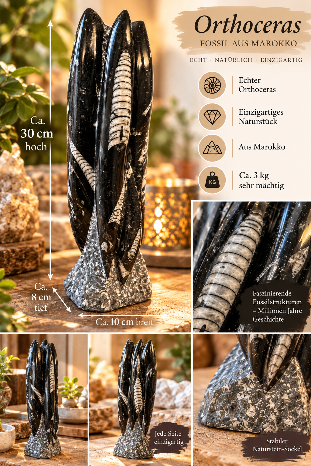 Orthoceras XXL Fossilien Skulptur aus Marokko – 30 cm – ca. 3 kg – AAA-Qualität – Polierter Fossilienmarmor mit Urzeit-Fossilien – Imposanter Naturstein Deko-Turm & Blickfang