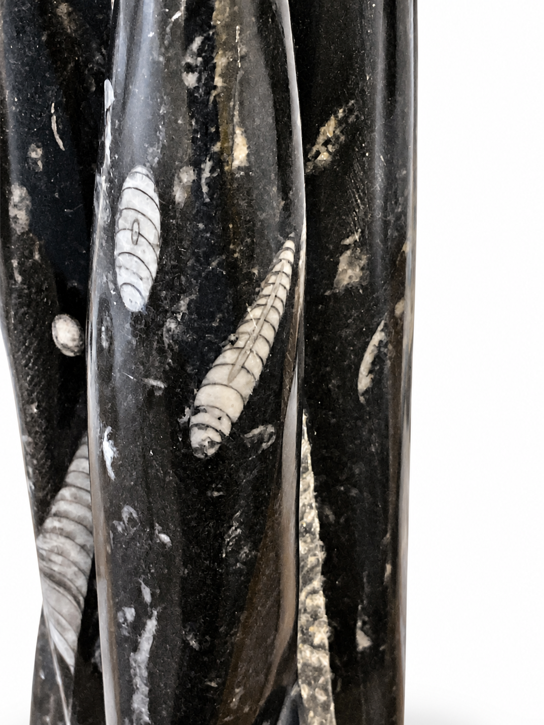 Orthoceras XXL Fossilien Skulptur aus Marokko – 30 cm – ca. 3 kg – AAA-Qualität – Polierter Fossilienmarmor mit Urzeit-Fossilien – Imposanter Naturstein Deko-Turm & Blickfang