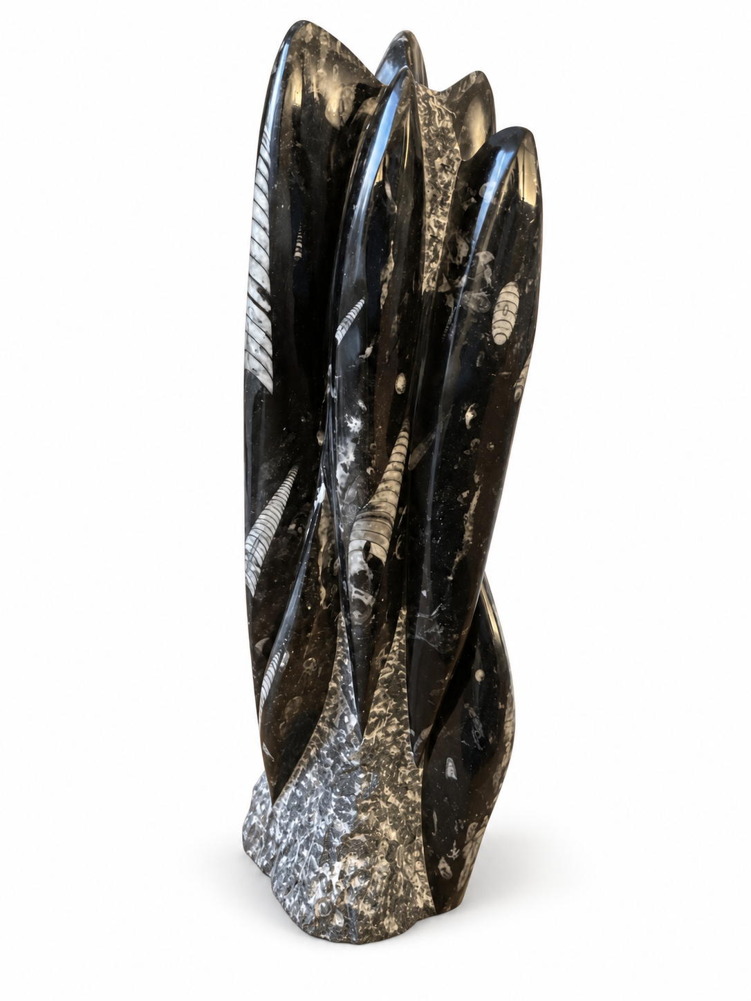 Orthoceras XXL Fossilien Skulptur aus Marokko – 30 cm – ca. 3 kg – AAA-Qualität – Polierter Fossilienmarmor mit Urzeit-Fossilien – Imposanter Naturstein Deko-Turm & Blickfang