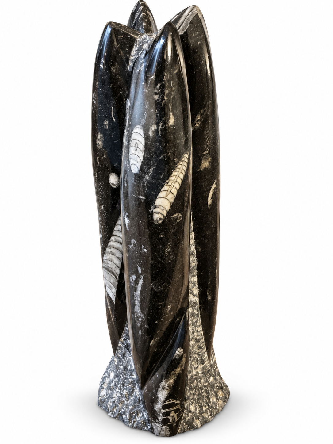 Orthoceras XXL Fossilien Skulptur aus Marokko – 30 cm – ca. 3 kg – AAA-Qualität – Polierter Fossilienmarmor mit Urzeit-Fossilien – Imposanter Naturstein Deko-Turm & Blickfang