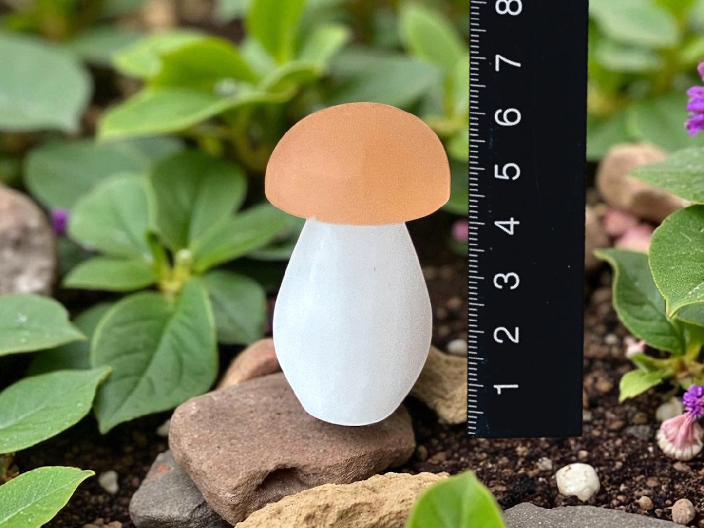 Selenit Pilze in Top-Qualität aus Marokko für Feengarten I Edelstein-Dekoration I Pilz Figur I Pilz Ornament I Reiki I Chakra I Lichtbringer I einzeln oder als Sparset