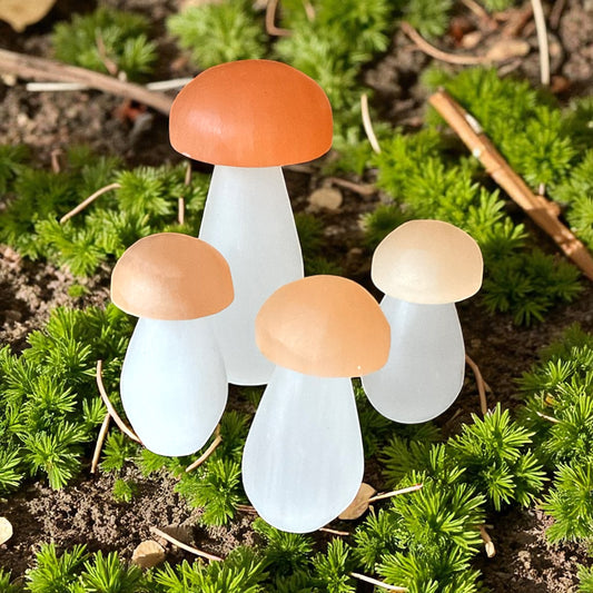 Selenit Pilze in Top-Qualität aus Marokko für Feengarten I Edelstein-Dekoration I Pilz Figur I Pilz Ornament I Reiki I Chakra I Lichtbringer I einzeln oder als Sparset