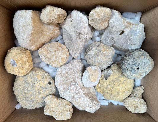 Geoden in verschiedenen Größen geschlossen aus Marokko B-WARE 9,75 kg -SALE- Konvolut Nr.: 1219