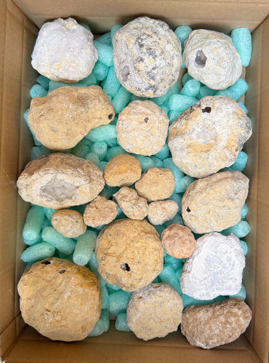 Geoden in verschiedenen Größen geschlossen aus Marokko B-WARE 3,60 kg -SALE- Konvolut Nr.: 1231