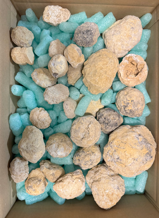 Geoden in verschiedenen Größen geschlossen aus Marokko B-WARE 2,70 kg -SALE- Konvolut Nr.: 1230