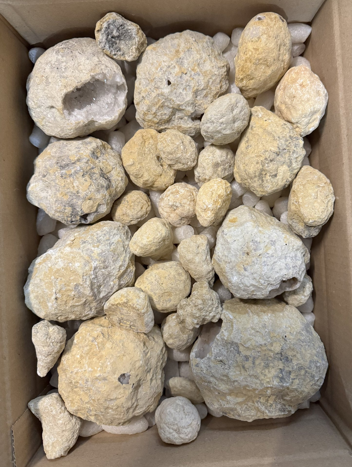 Geoden in verschiedenen Größen geschlossen aus Marokko B-WARE 4,10 kg -SALE- Konvolut Nr.: 1230