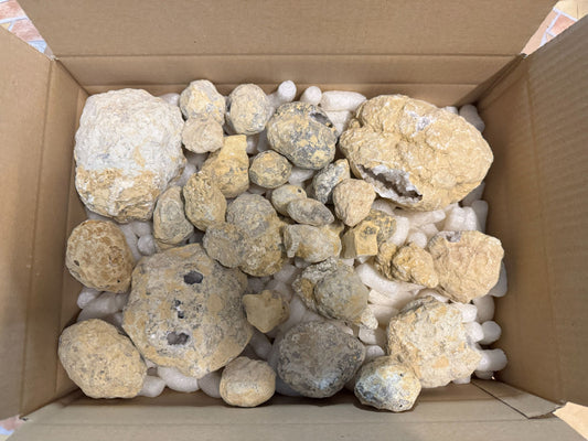Geoden in verschiedenen Größen geschlossen aus Marokko B-WARE 3,50 kg -SALE- Konvolut Nr.: 1231