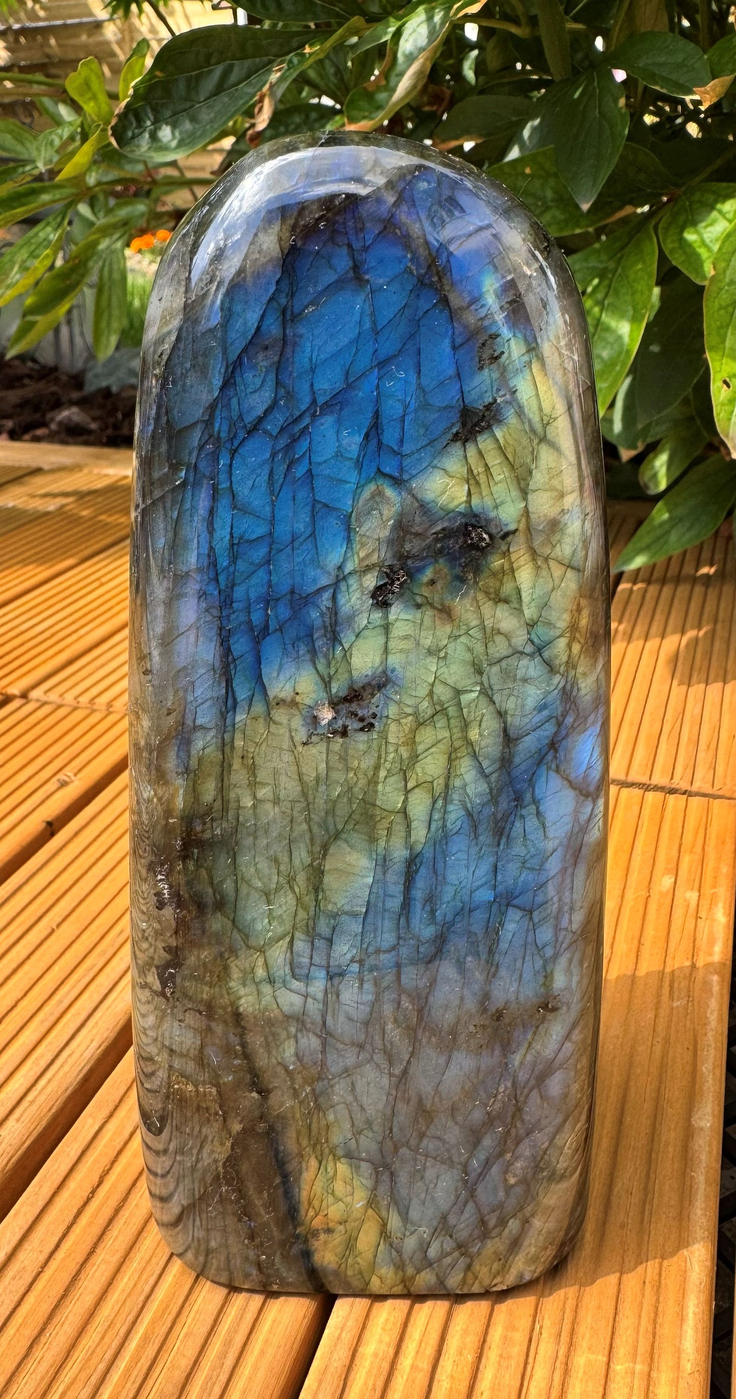XL Labradorit Freeform „Masterpiece“ – 1379 g Unikat Nr. 1614 aus Madagaskar – Top AAA-Qualität – Faszinierendes Farbspiel – Sammlerstück & Blickfang – 7 x 6 x 16 cm