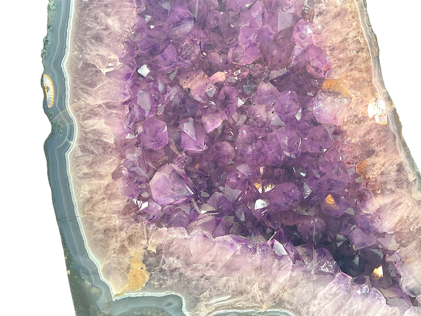 Amethyst Druse I 14,95 KG I 37x27x12 cm I Blickfang I Unikat - Masterpiece 1479 I Brasilien