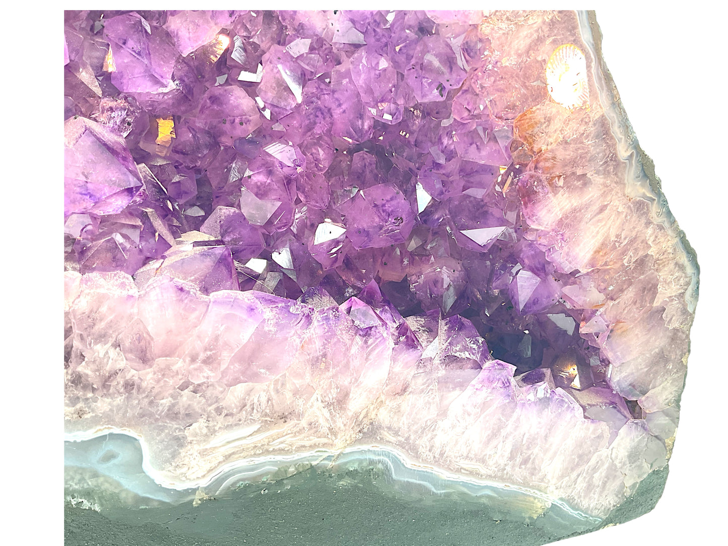 Amethyst Druse I 14,95 KG I 37x27x12 cm I Blickfang I Unikat - Masterpiece 1479 I Brasilien