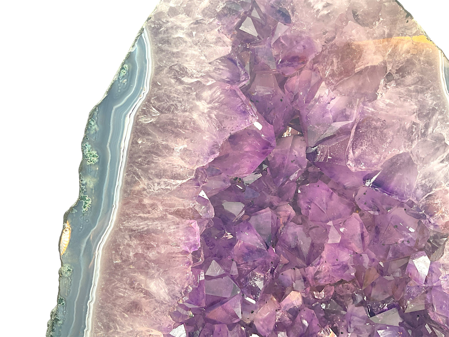Amethyst Druse I 14,95 KG I 37x27x12 cm I Blickfang I Unikat - Masterpiece 1479 I Brasilien