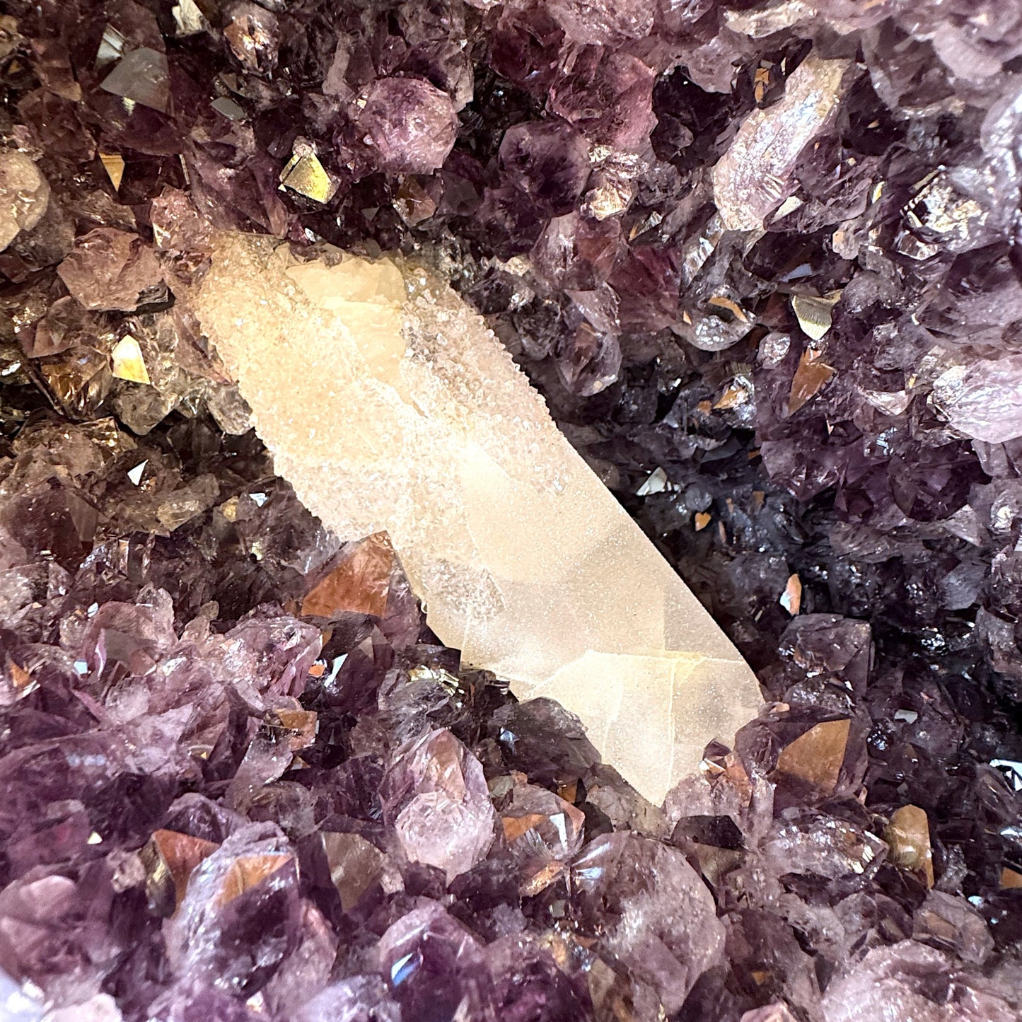 XXL Amethyst Druse I 14,77 KG I 32x31x20 cm I Blickfang I Unikat - Masterpiece 1479 I Brasilien