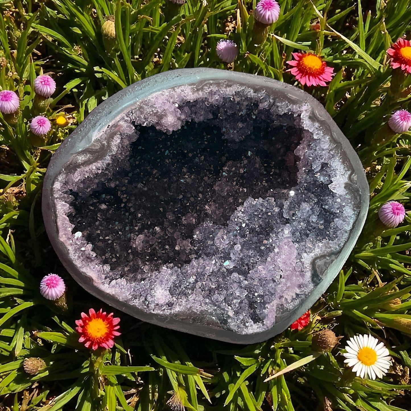 Amethyst Druse mit phantastischen Kristallen I 5,55 KG I 21x19x16 cm I Blickfang I Unikat-Masterpiece 1475 I Brasilien