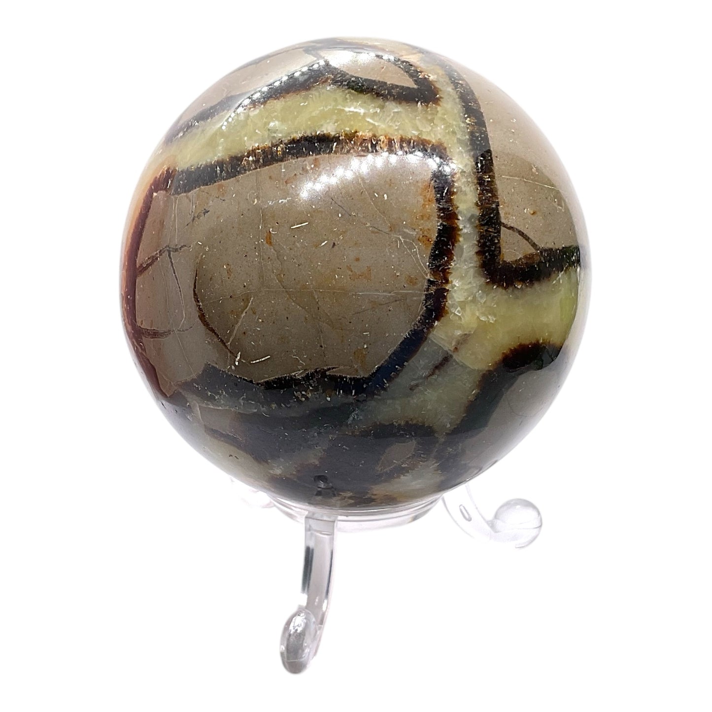 Septarien Drachen Kugel I 440 Gramm I 7x7x7cm I Dragonball I Mystisch I Kristallkugel I Unikat-Masterpiece 1646 I mit Acrylständer I Madagaskar