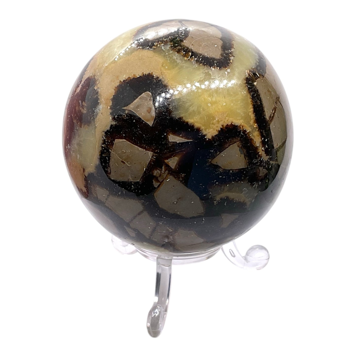 Septarien Drachen Kugel I 440 Gramm I 7x7x7cm I Dragonball I Mystisch I Kristallkugel I Unikat-Masterpiece 1646 I mit Acrylständer I Madagaskar