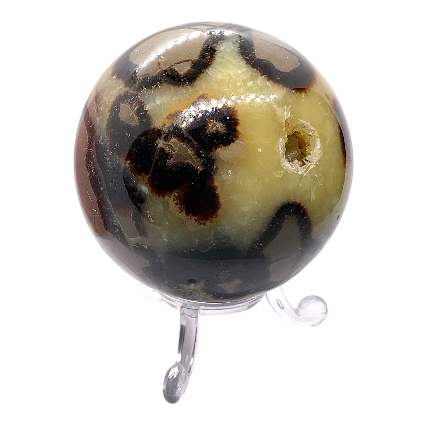 Septarien Drachen Kugel I 440 Gramm I 7x7x7cm I Dragonball I Mystisch I Kristallkugel I Unikat-Masterpiece 1646 I mit Acrylständer I Madagaskar