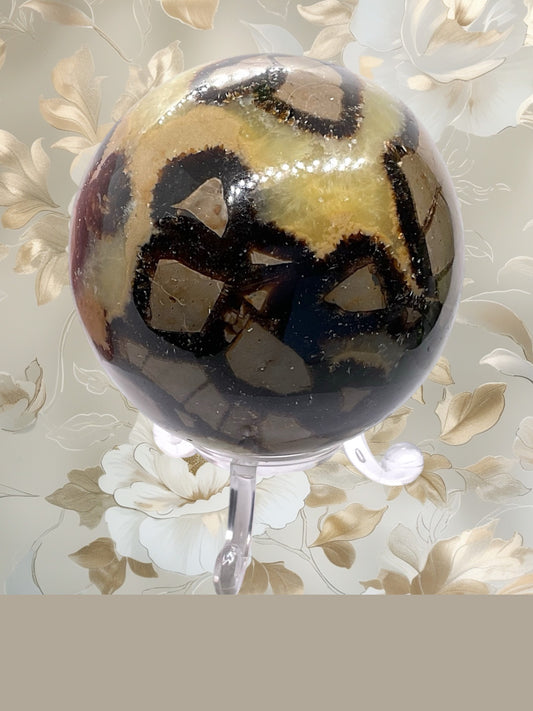 Septarien Drachen Kugel I 440 Gramm I 7x7x7cm I Dragonball I Mystisch I Kristallkugel I Unikat-Masterpiece 1646 I mit Acrylständer I Madagaskar