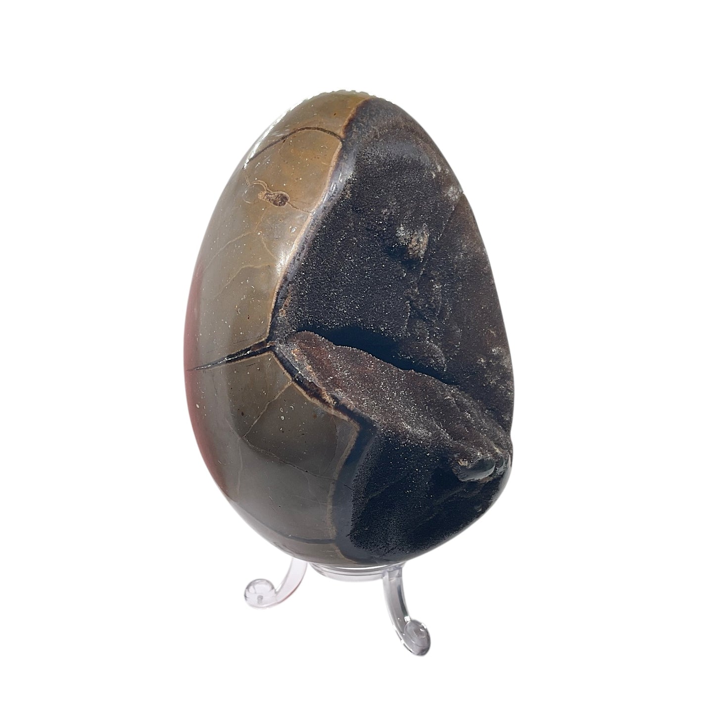 Mystisches Septarien Drachenei | Kristalldruse | Freeform | Unikat-Masterpiece 1631 | 12x8x8 cm | 1022 Gramm | mit Quarzkristall | inclusive Acrylständer I Madagaskar