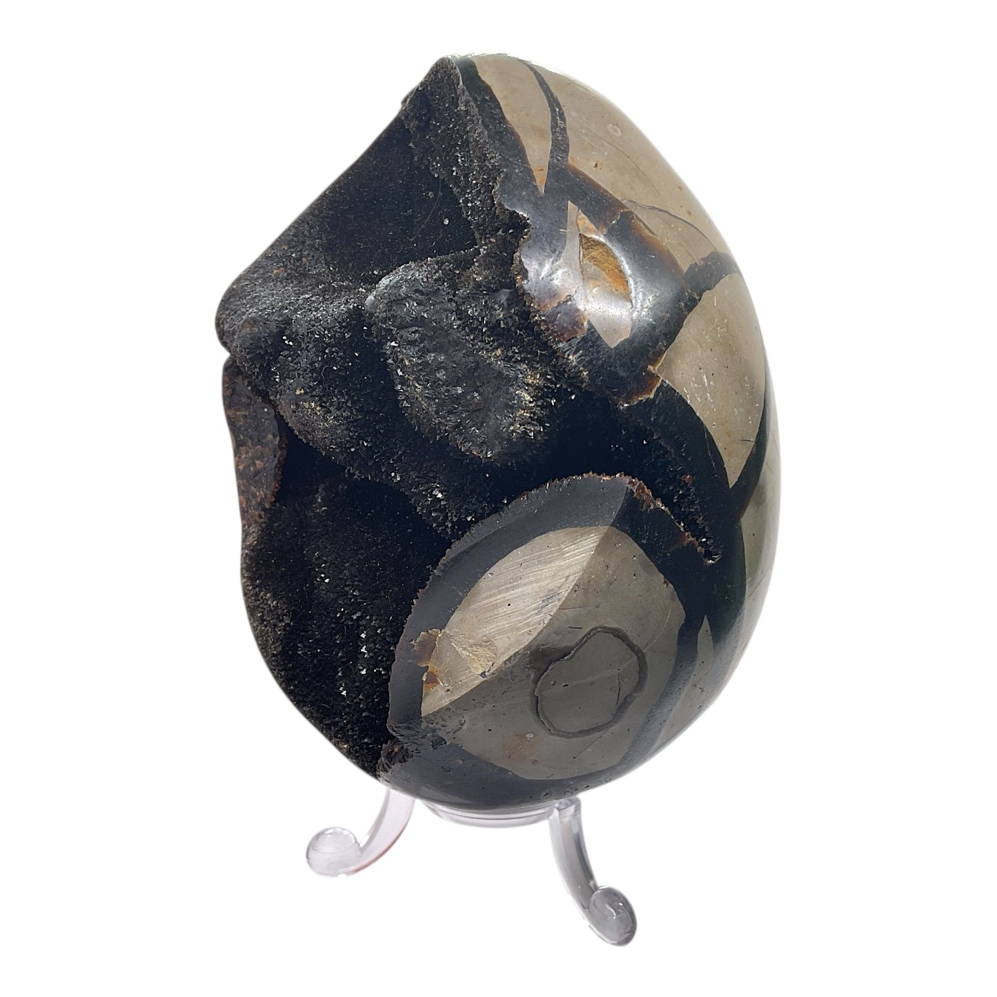 Mystisches Septarien Drachenei | Kristalldruse | Freeform | Unikat-Masterpiece 1632 | 12x8x8 cm | 883 Gramm | mit Quarzkristall | inclusive Acrylständer